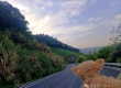 小狮子口山上风景