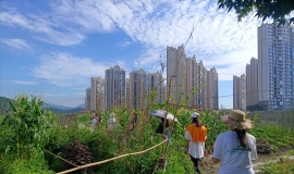 御海户外徒步群第六次活动小记：环线大埠村