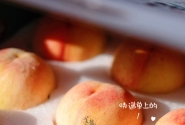 如何选择正宗奉化水蜜桃的技巧与指南