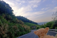 小狮子口山上风景