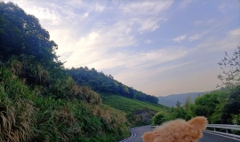 小狮子口山上风景