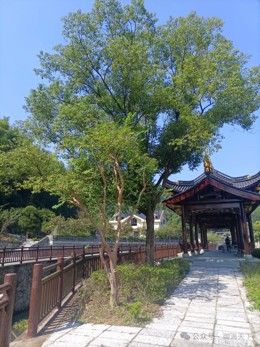 御海天下论坛.png